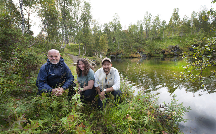 En symfoni av naturens tause rop